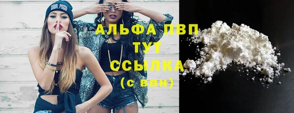 прущие крисы Абаза